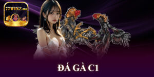 Đá Gà C1