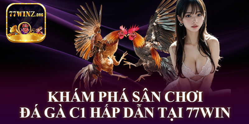 Khám Phá Sân Chơi Đá Gà C1 Hấp Dẫn Tại 77WIN