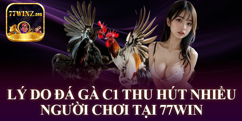 Lý Do Đá Gà C1 Thu Hút Nhiều Người Chơi Tại 77WIN