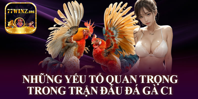 Những Yếu Tố Quan Trọng Trong Trận Đấu Đá Gà C1