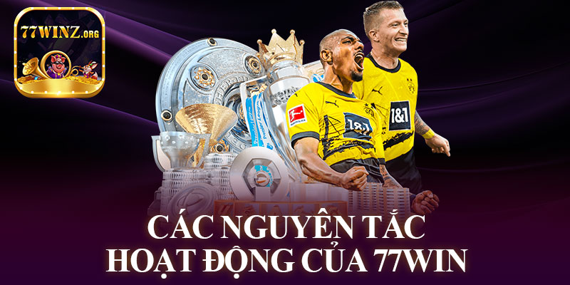 Các Nguyên Tắc Hoạt Động Của 77Win